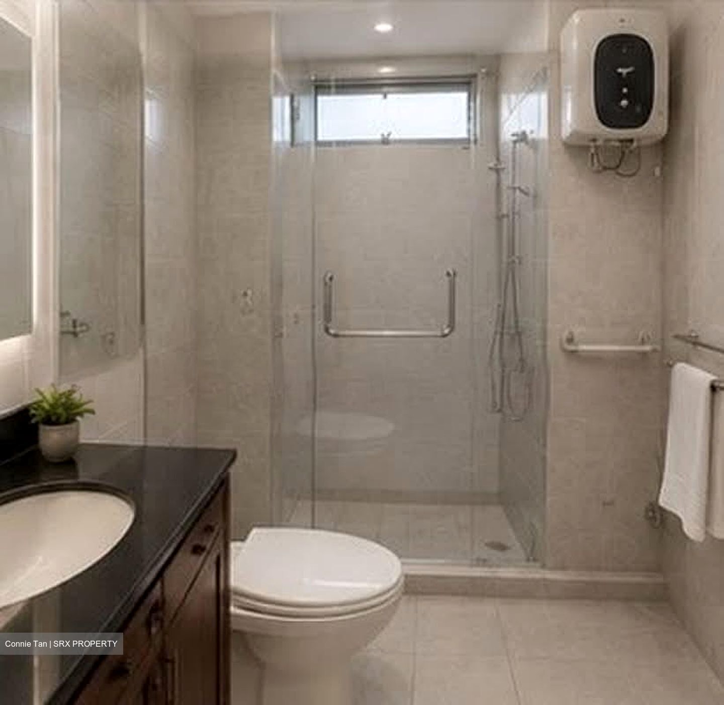 Emerald Park (D3), Condominium #570248431